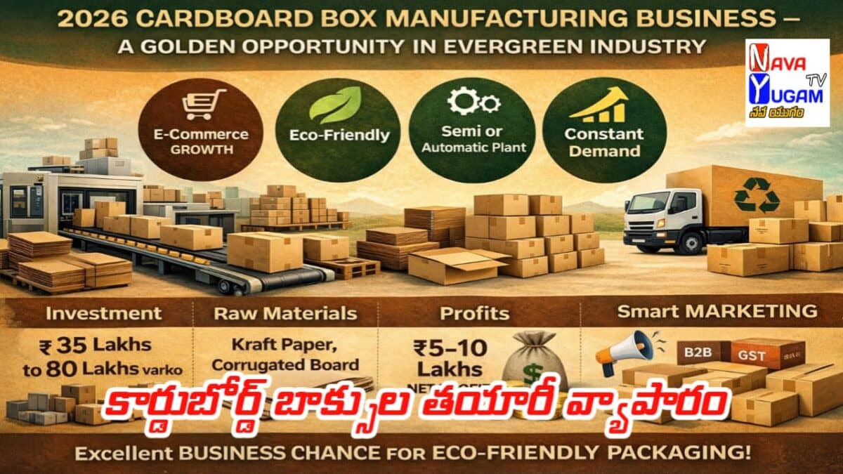 Cardboard Box Manufacturing Business