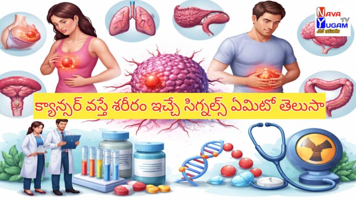 Cancer awareness illustration with tumor cell, organs and medical treatment symbols