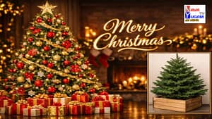Christmas Tree